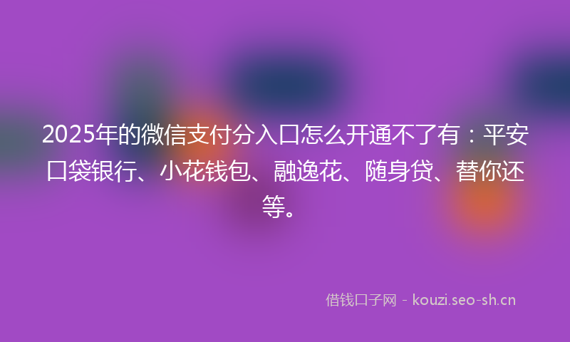 2025年的微信支付分入口怎么开通不了有：平安口袋银行、小花钱包、融逸花、随身贷、替你还等。