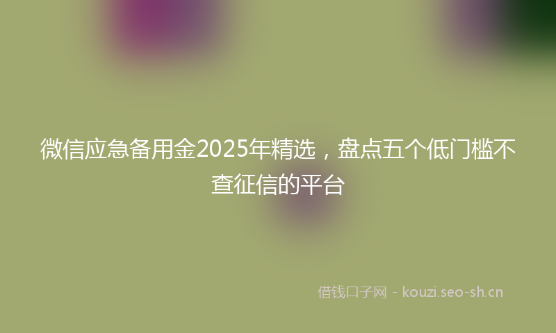 微信应急备用金2025年精选，盘点五个低门槛不查征信的平台