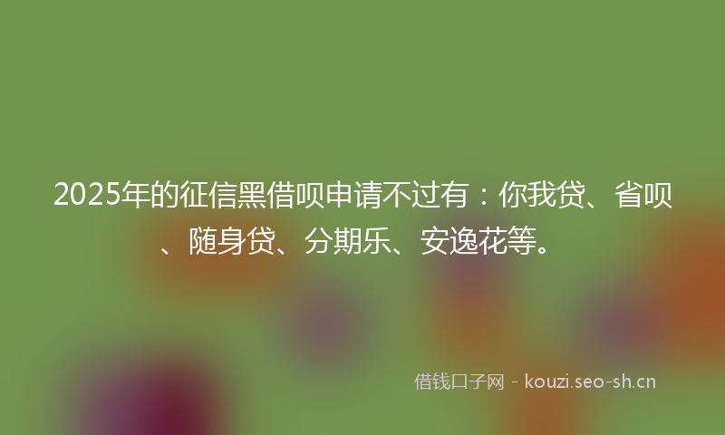 2025年的征信黑借呗申请不过有：你我贷、省呗、随身贷、分期乐、安逸花等。