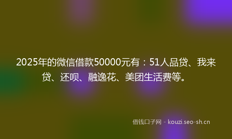 2025年的微信借款50000元有：51人品贷、我来贷、还呗、融逸花、美团生活费等。