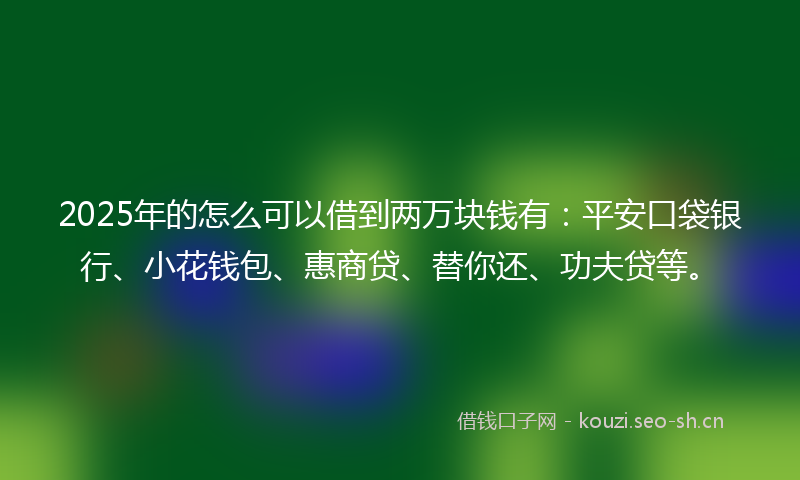 2025年的怎么可以借到两万块钱有：平安口袋银行、小花钱包、惠商贷、替你还、功夫贷等。