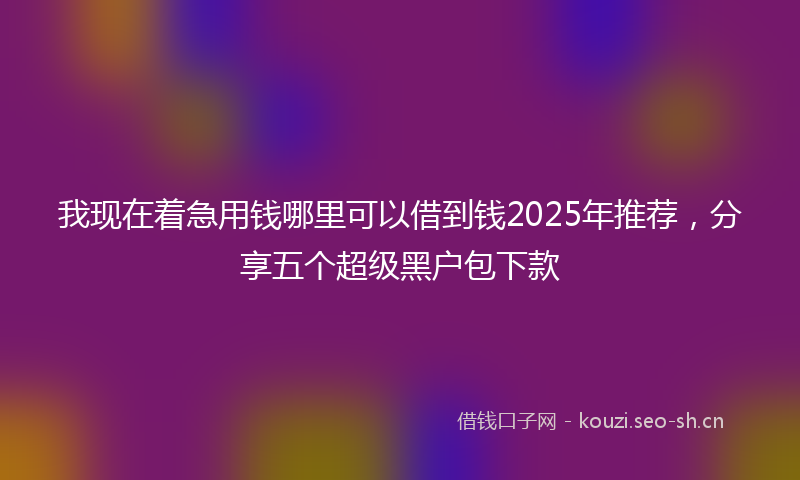我现在着急用钱哪里可以借到钱2025年推荐，分享五个超级黑户包下款