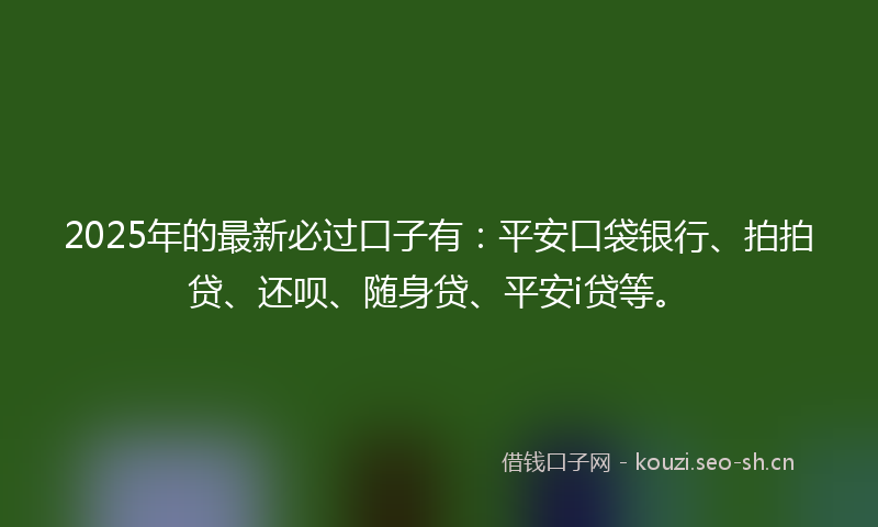 2025年的最新必过口子有：平安口袋银行、拍拍贷、还呗、随身贷、平安i贷等。