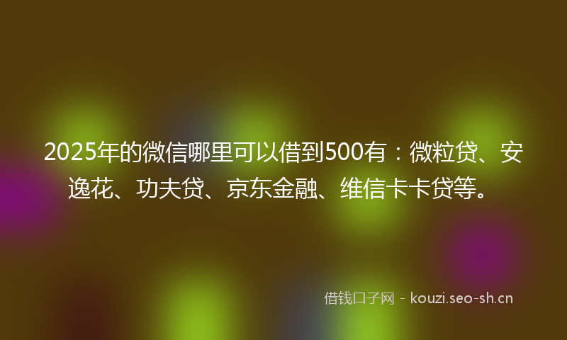 2025年的微信哪里可以借到500有：微粒贷、安逸花、功夫贷、京东金融、维信卡卡贷等。