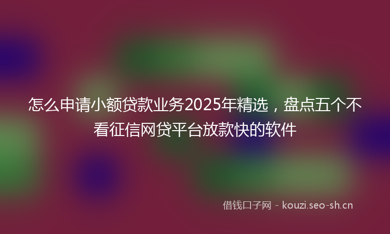 怎么申请小额贷款业务2025年精选，盘点五个不看征信网贷平台放款快的软件