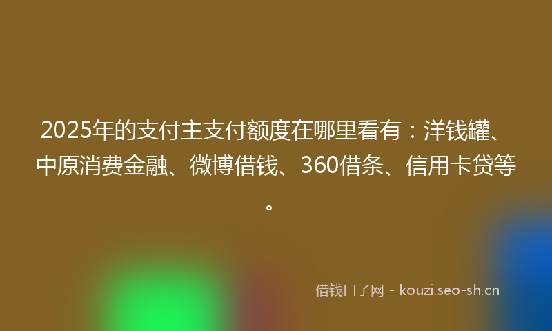 2025年的支付主支付额度在哪里看有:洋钱罐、中原消费金融、微博借钱、360借条、信用卡贷等。