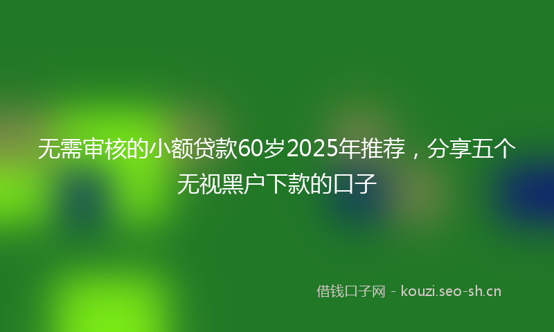 无需审核的小额贷款60岁2025年推荐，分享五个无视黑户下款的口子