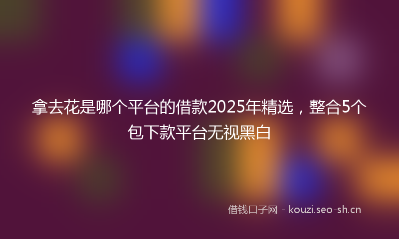 拿去花是哪个平台的借款2025年精选，整合5个包下款平台无视黑白