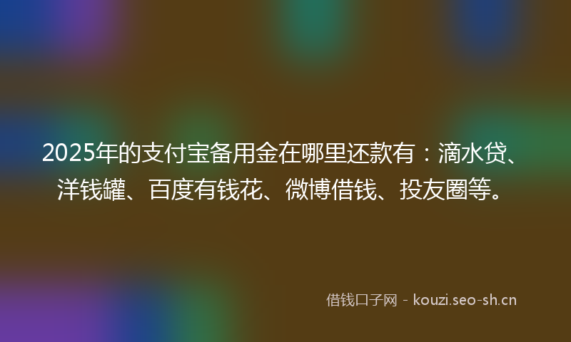 2025年的支付宝备用金在哪里还款有：滴水贷、洋钱罐、百度有钱花、微博借钱、投友圈等。