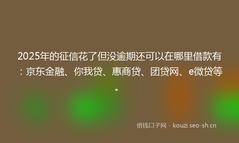 2025年的征信花了但没逾期还可以在哪里借款有：京东金融、你我贷、惠商贷、团贷网、e微贷等。