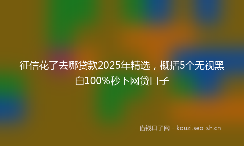 征信花了去哪贷款2025年精选，概括5个无视黑白100%秒下网贷口子