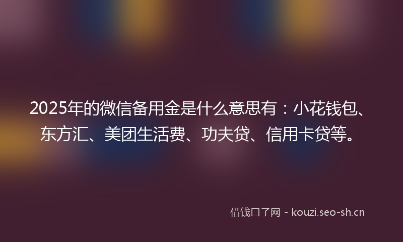 2025年的微信备用金是什么意思有：小花钱包、东方汇、美团生活费、功夫贷、信用卡贷等。