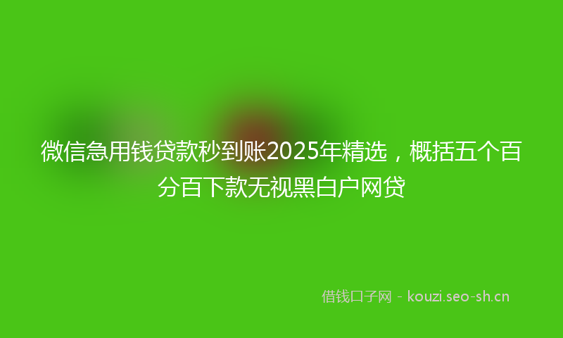 微信急用钱贷款秒到账2025年精选，概括五个百分百下款无视黑白户网贷