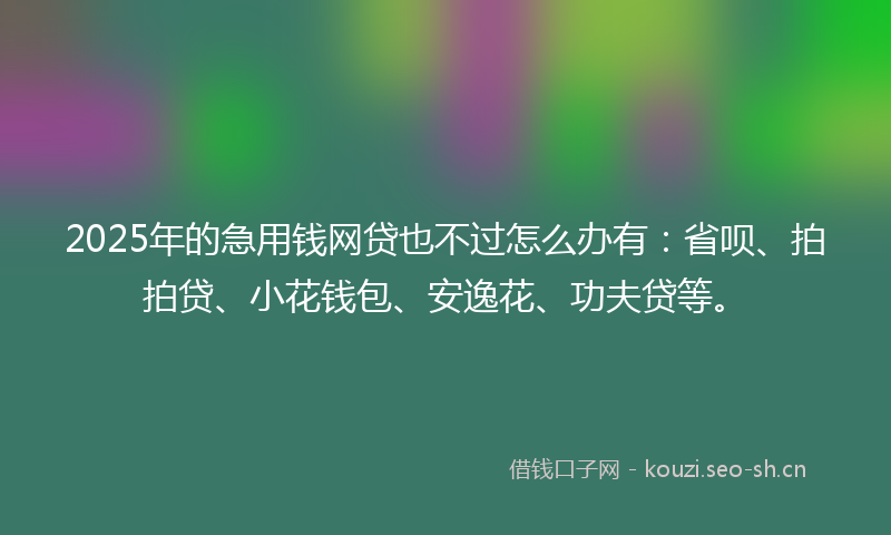 2025年的急用钱网贷也不过怎么办有：省呗、拍拍贷、小花钱包、安逸花、功夫贷等。