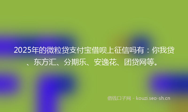 2025年的微粒贷支付宝借呗上征信吗有：你我贷、东方汇、分期乐、安逸花、团贷网等。