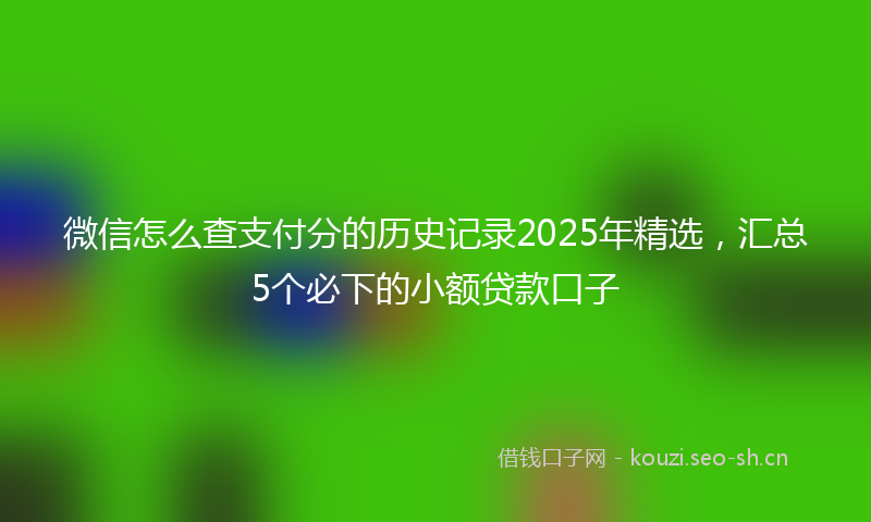 微信怎么查支付分的历史记录2025年精选，汇总5个必下的小额贷款口子