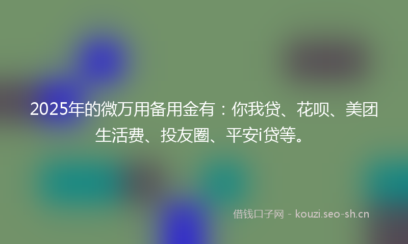 2025年的微万用备用金有：你我贷、花呗、美团生活费、投友圈、平安i贷等。
