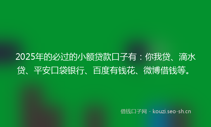 2025年的必过的小额贷款口子有：你我贷、滴水贷、平安口袋银行、百度有钱花、微博借钱等。