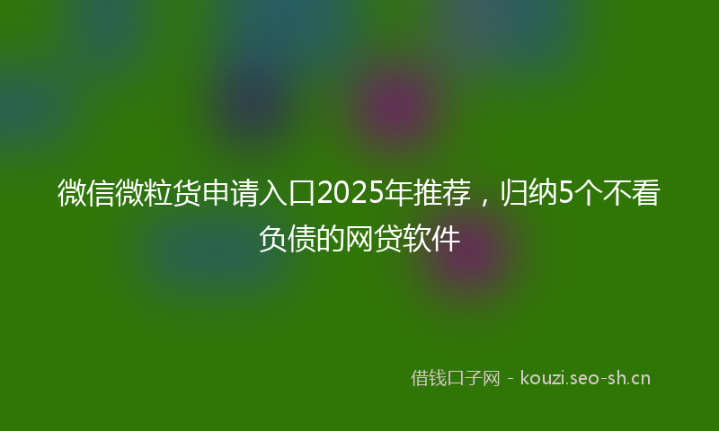 微信微粒货申请入口2025年推荐，归纳5个不看负债的网贷软件