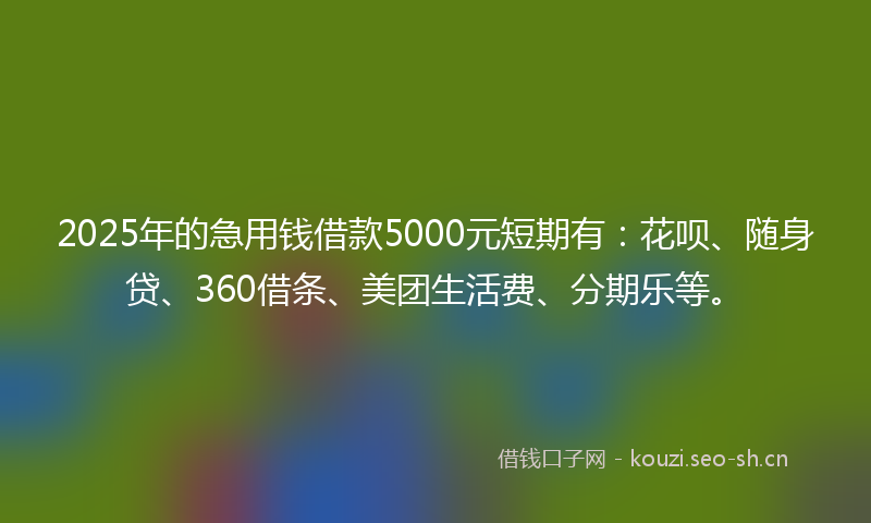 2025年的急用钱借款5000元短期有:花呗、随身贷、360借条、美团生活费、分期乐等。
