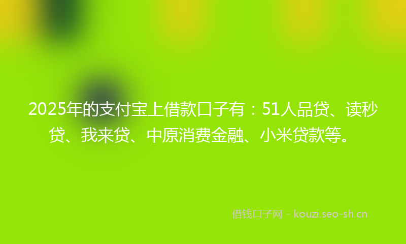 2025年的支付宝上借款口子有：51人品贷、读秒贷、我来贷、中原消费金融、小米贷款等。