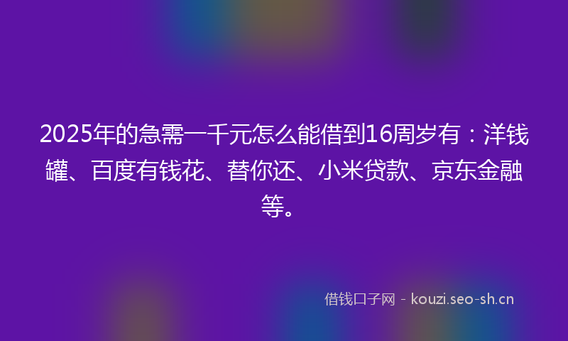 2025年的急需一千元怎么能借到16周岁有:洋钱罐、百度有钱花、替你还、小米贷款、京东金融等。