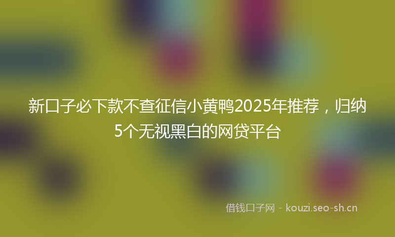 新口子必下款不查征信小黄鸭2025年推荐，归纳5个无视黑白的网贷平台