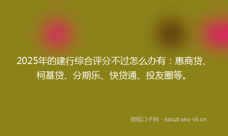 2025年的建行综合评分不过怎么办有：惠商贷、柯基贷、分期乐、快贷通、投友圈等。