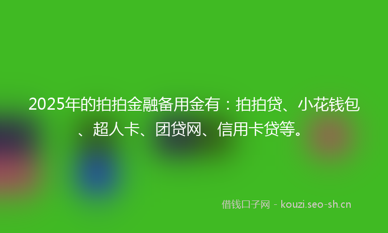 2025年的拍拍金融备用金有：拍拍贷、小花钱包、超人卡、团贷网、信用卡贷等。
