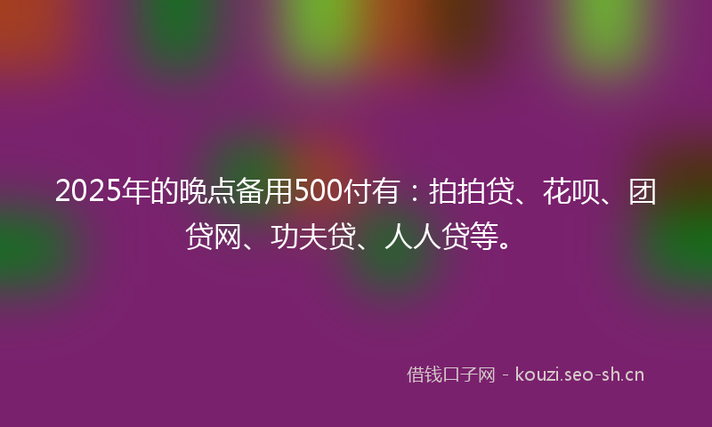 2025年的晚点备用500付有：拍拍贷、花呗、团贷网、功夫贷、人人贷等。