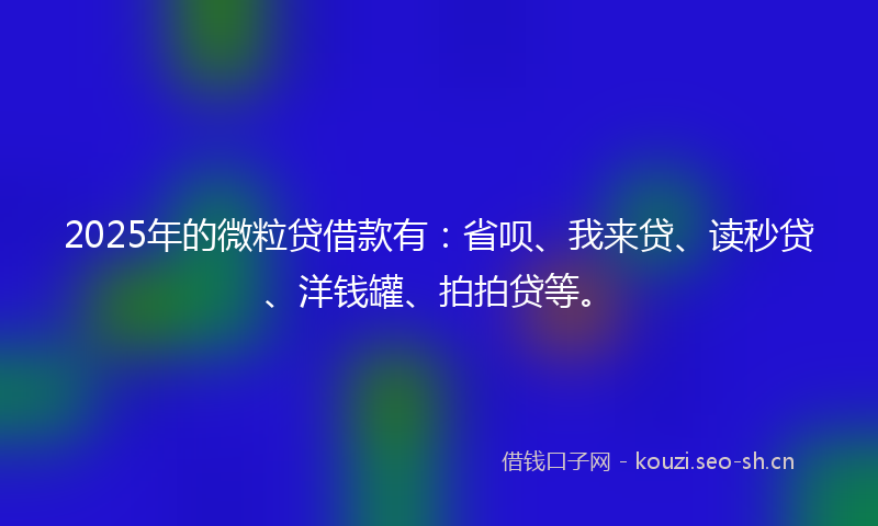 2025年的微粒贷借款有:省呗、我来贷、读秒贷、洋钱罐、拍拍贷等。