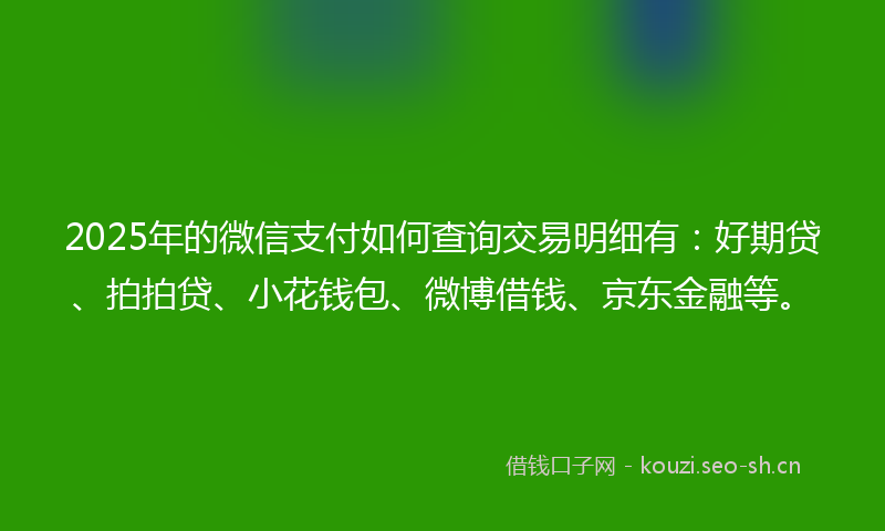 2025年的微信支付如何查询交易明细有:好期贷、拍拍贷、小花钱包、微博借钱、京东金融等。