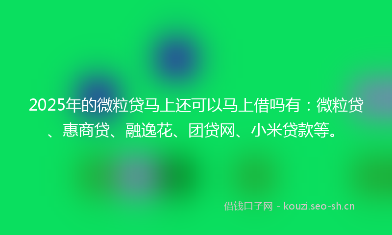 2025年的微粒贷马上还可以马上借吗有：微粒贷、惠商贷、融逸花、团贷网、小米贷款等。