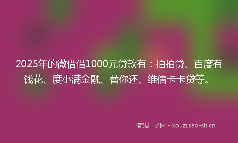 2025年的微借借1000元贷款有：拍拍贷、百度有钱花、度小满金融、替你还、维信卡卡贷等。