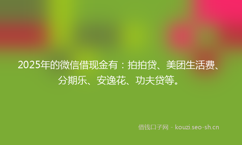 2025年的微信借现金有：拍拍贷、美团生活费、分期乐、安逸花、功夫贷等。
