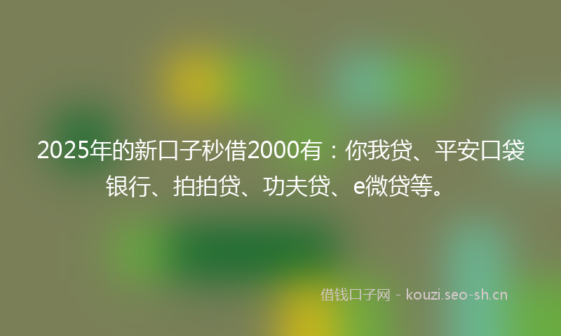 2025年的新口子秒借2000有:你我贷、平安口袋银行、拍拍贷、功夫贷、e微贷等。