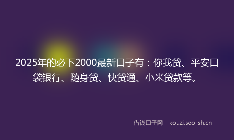 2025年的必下2000最新口子有：你我贷、平安口袋银行、随身贷、快贷通、小米贷款等。