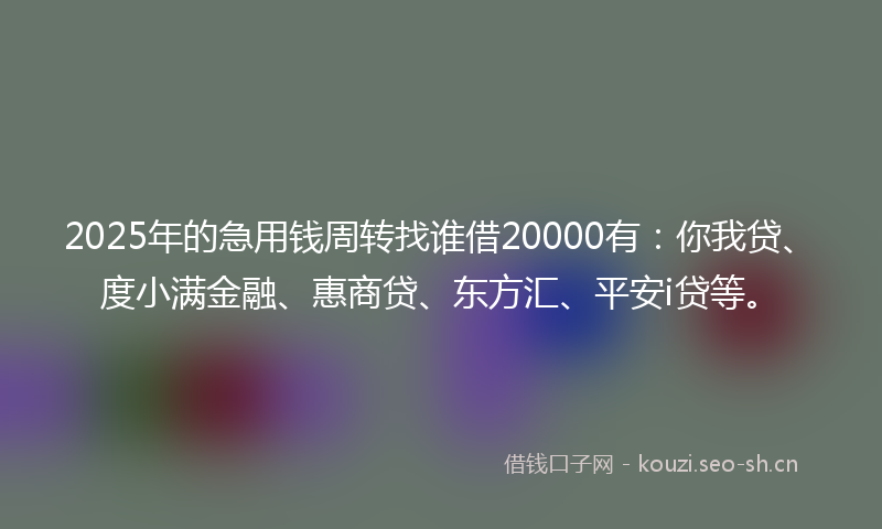 2025年的急用钱周转找谁借20000有：你我贷、度小满金融、惠商贷、东方汇、平安i贷等。