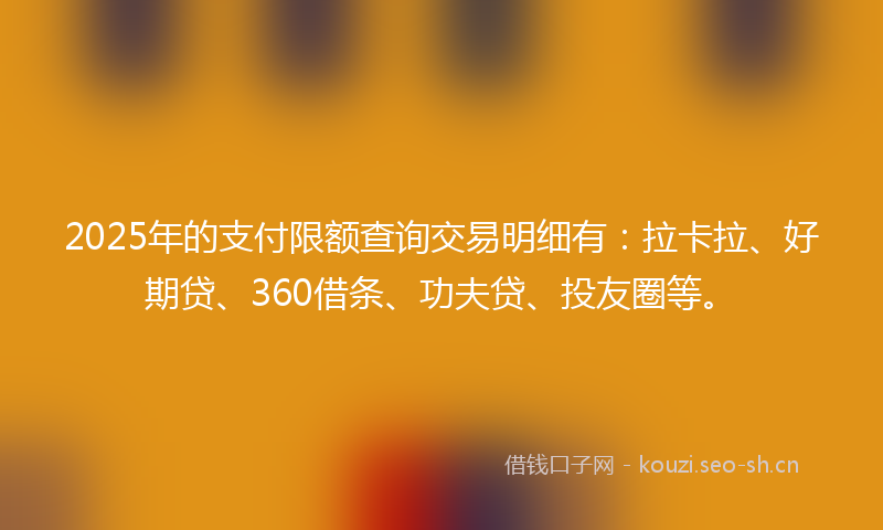 2025年的支付限额查询交易明细有：拉卡拉、好期贷、360借条、功夫贷、投友圈等。