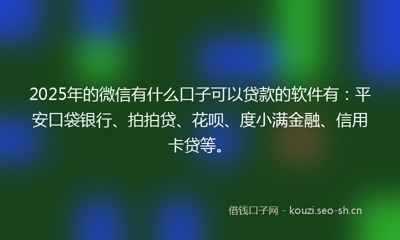 2025年的微信有什么口子可以贷款的软件有：平安口袋银行、拍拍贷、花呗、度小满金融、信用卡贷等。