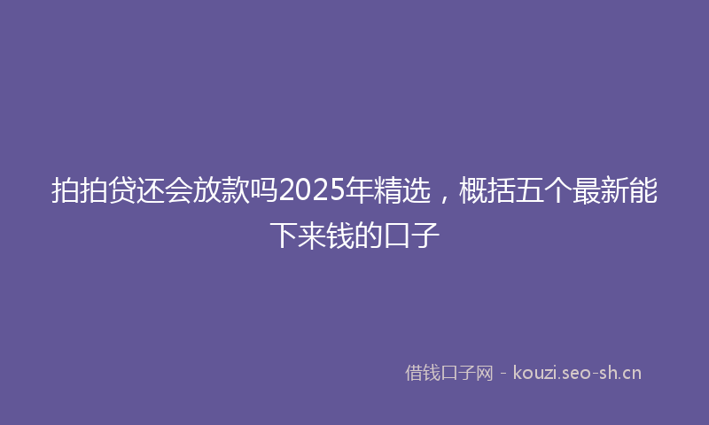 拍拍贷还会放款吗2025年精选，概括五个最新能下来钱的口子