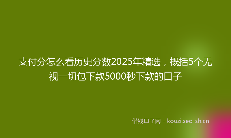支付分怎么看历史分数2025年精选，概括5个无视一切包下款5000秒下款的口子