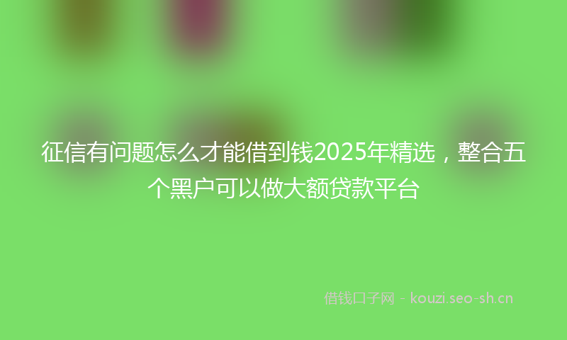 征信有问题怎么才能借到钱2025年精选，整合五个黑户可以做大额贷款平台