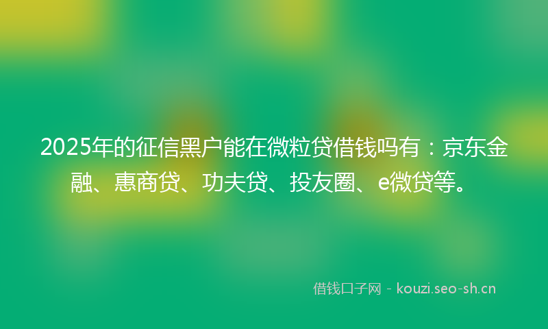 2025年的征信黑户能在微粒贷借钱吗有：京东金融、惠商贷、功夫贷、投友圈、e微贷等。