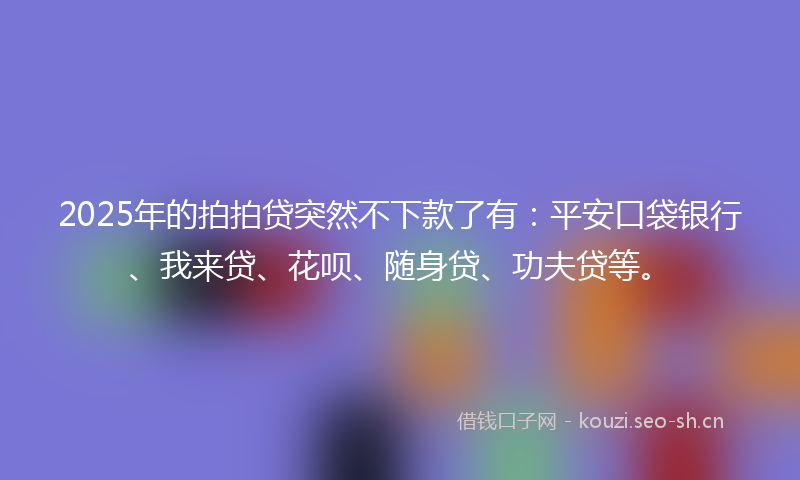 2025年的拍拍贷突然不下款了有：平安口袋银行、我来贷、花呗、随身贷、功夫贷等。