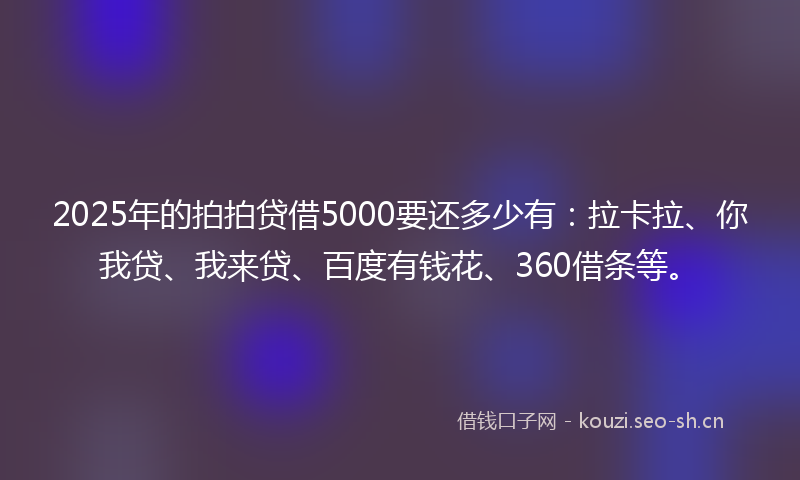 2025年的拍拍贷借5000要还多少有：拉卡拉、你我贷、我来贷、百度有钱花、360借条等。