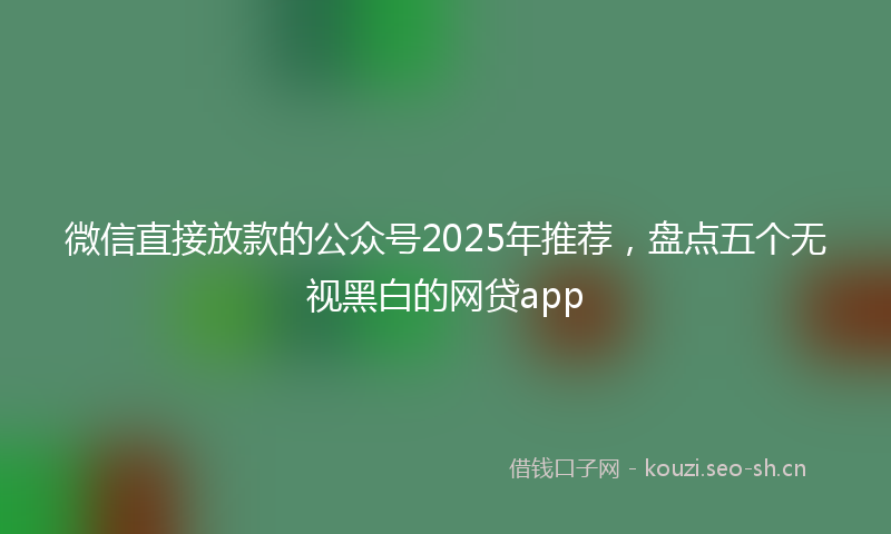 微信直接放款的公众号2025年推荐，盘点五个无视黑白的网贷app
