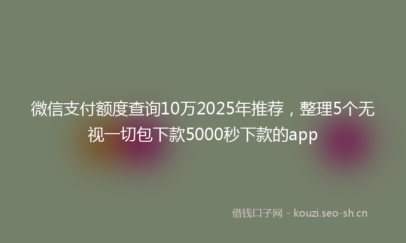 微信支付额度查询10万2025年推荐，整理5个无视一切包下款5000秒下款的app