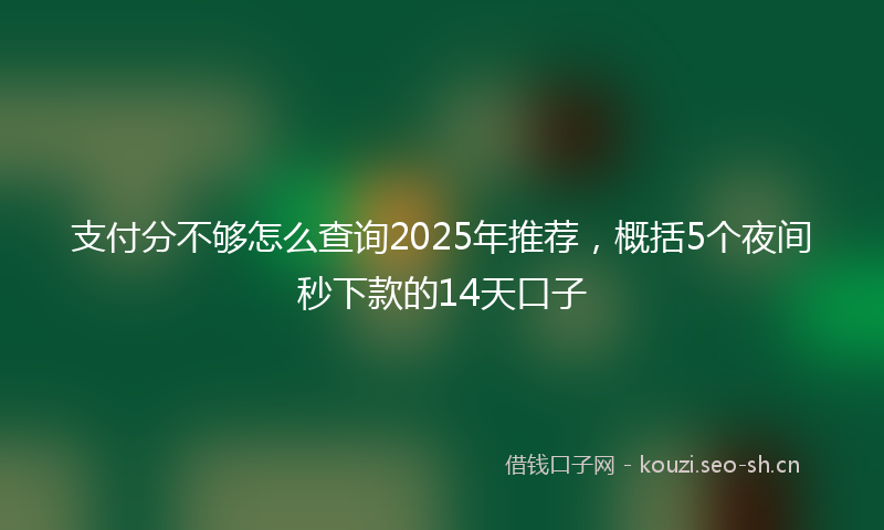 支付分不够怎么查询2025年推荐，概括5个夜间秒下款的14天口子