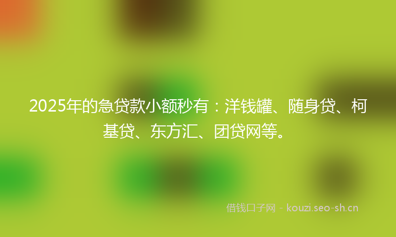 2025年的急贷款小额秒有：洋钱罐、随身贷、柯基贷、东方汇、团贷网等。